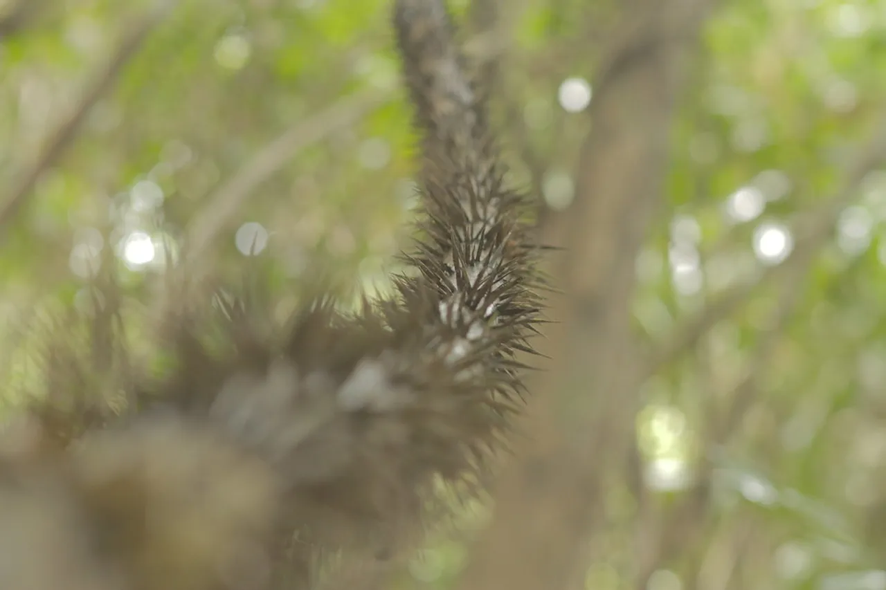 2. Wildlife Watching in Pacaya-Samiria National Reserve: A Nature Lover’s Paradise