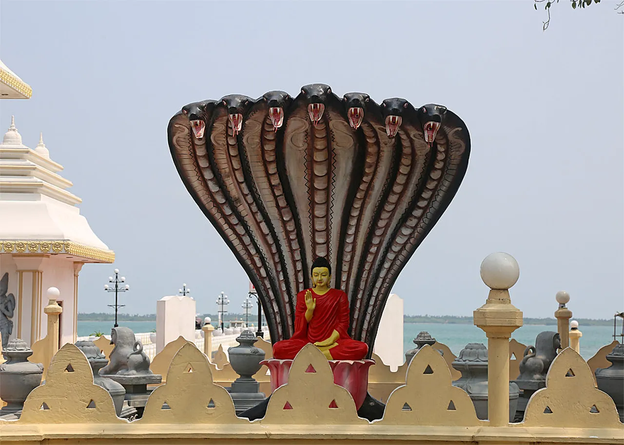 4. Local Art Forms: Exploring Jaffna’s Music and Dance