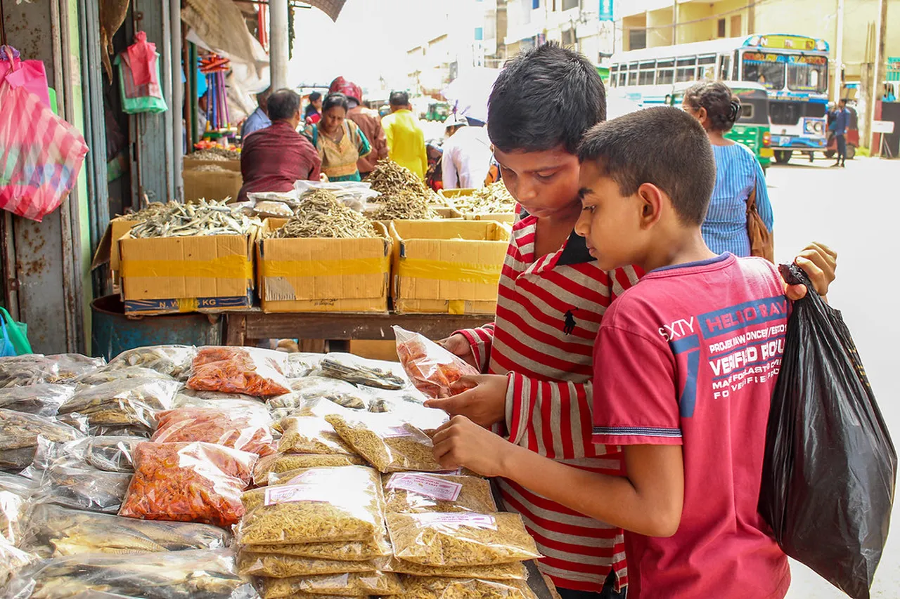 5. The Jaffna Music Festival: Melodies from the Heart