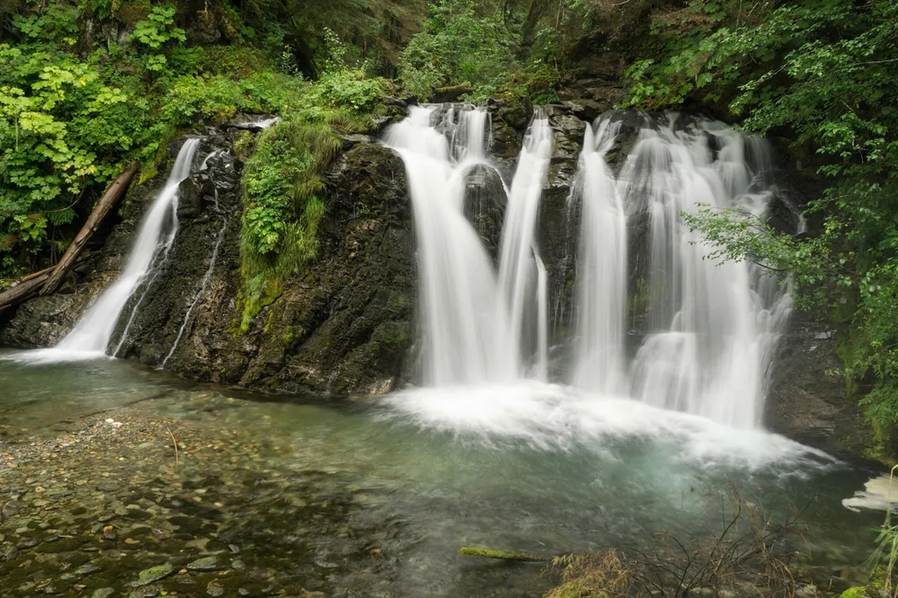 1. Experience the Juneau Maritime Festival: Celebrate Local Culture
