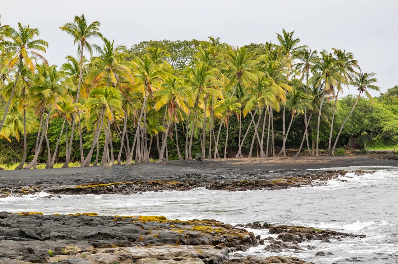 2. Kayaking to the Mokulua Islands: A Scenic Adventure