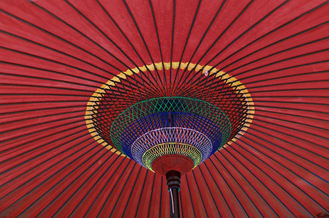 2. Hanami Season: Cherry Blossoms and Picnics in Kamakura