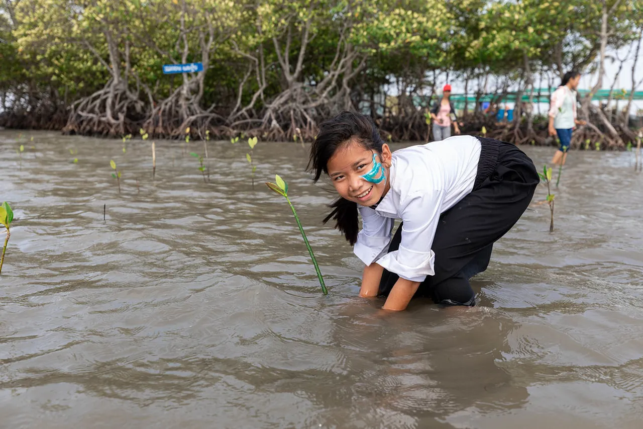 4. Participate in the Kampot Culinary Festival: A Food Lover’s Paradise