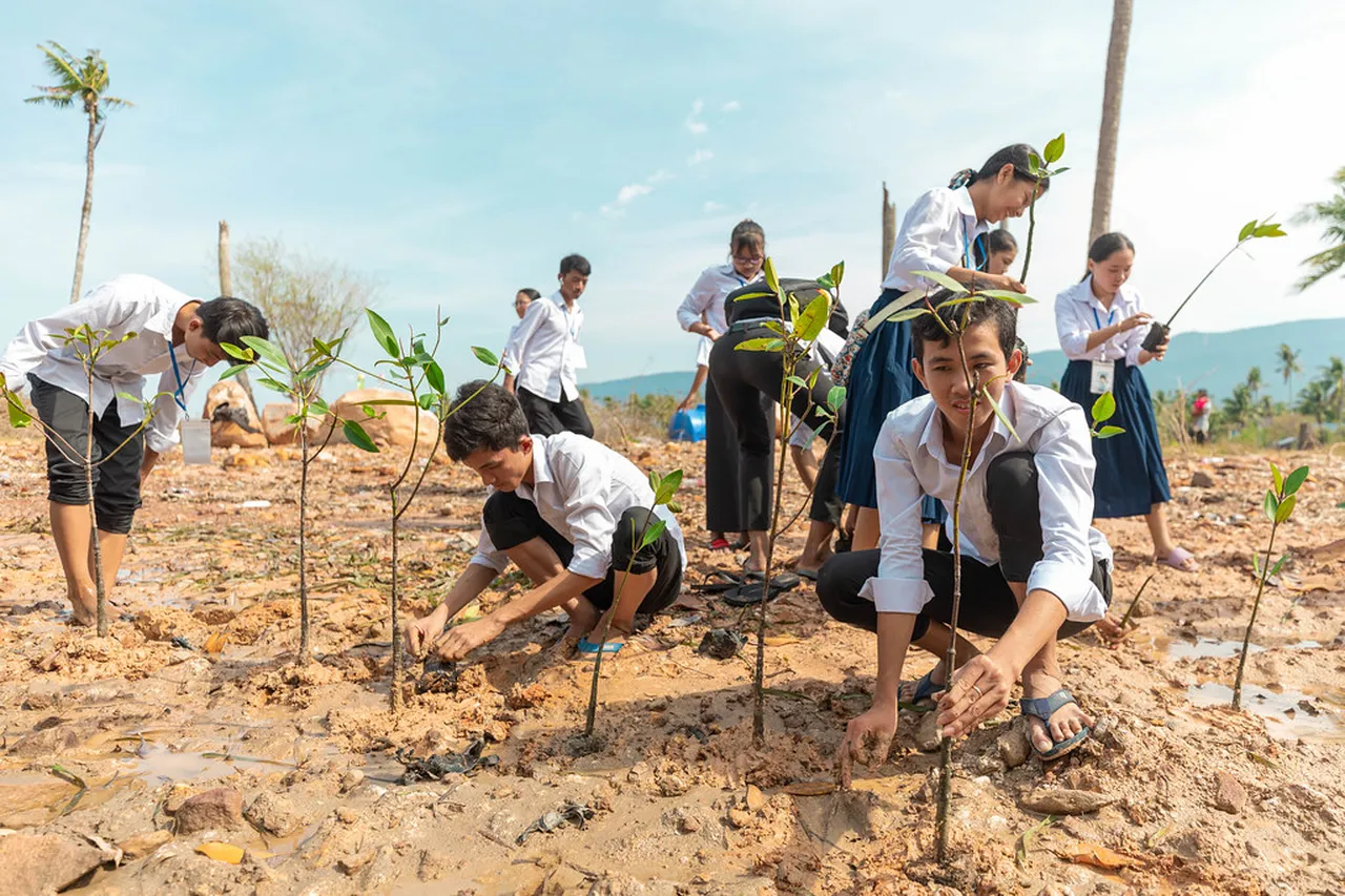 3. Join the Kampot River Music Festival: A Melodic Experience