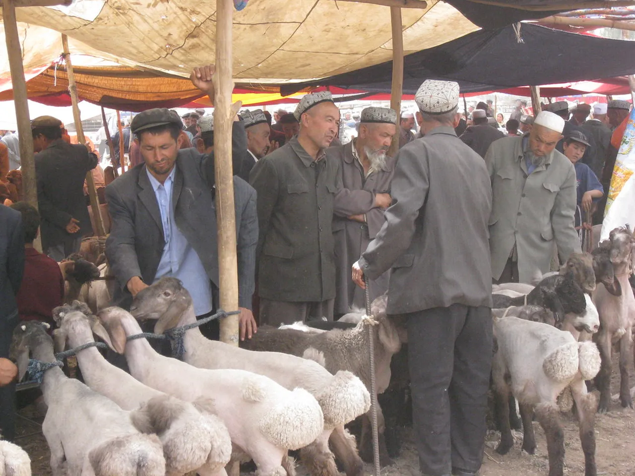 4. Traditional Uyghur Dance: A Celebration of Kashgar Culture