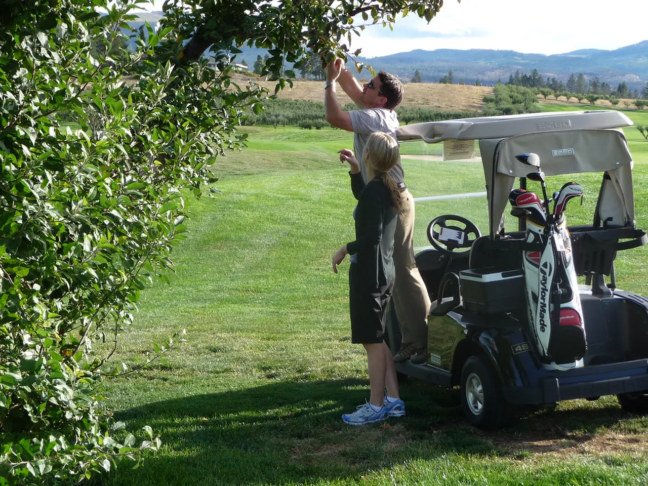 2. Discover the Vineyards: A Wine Tasting Journey Through Kelowna