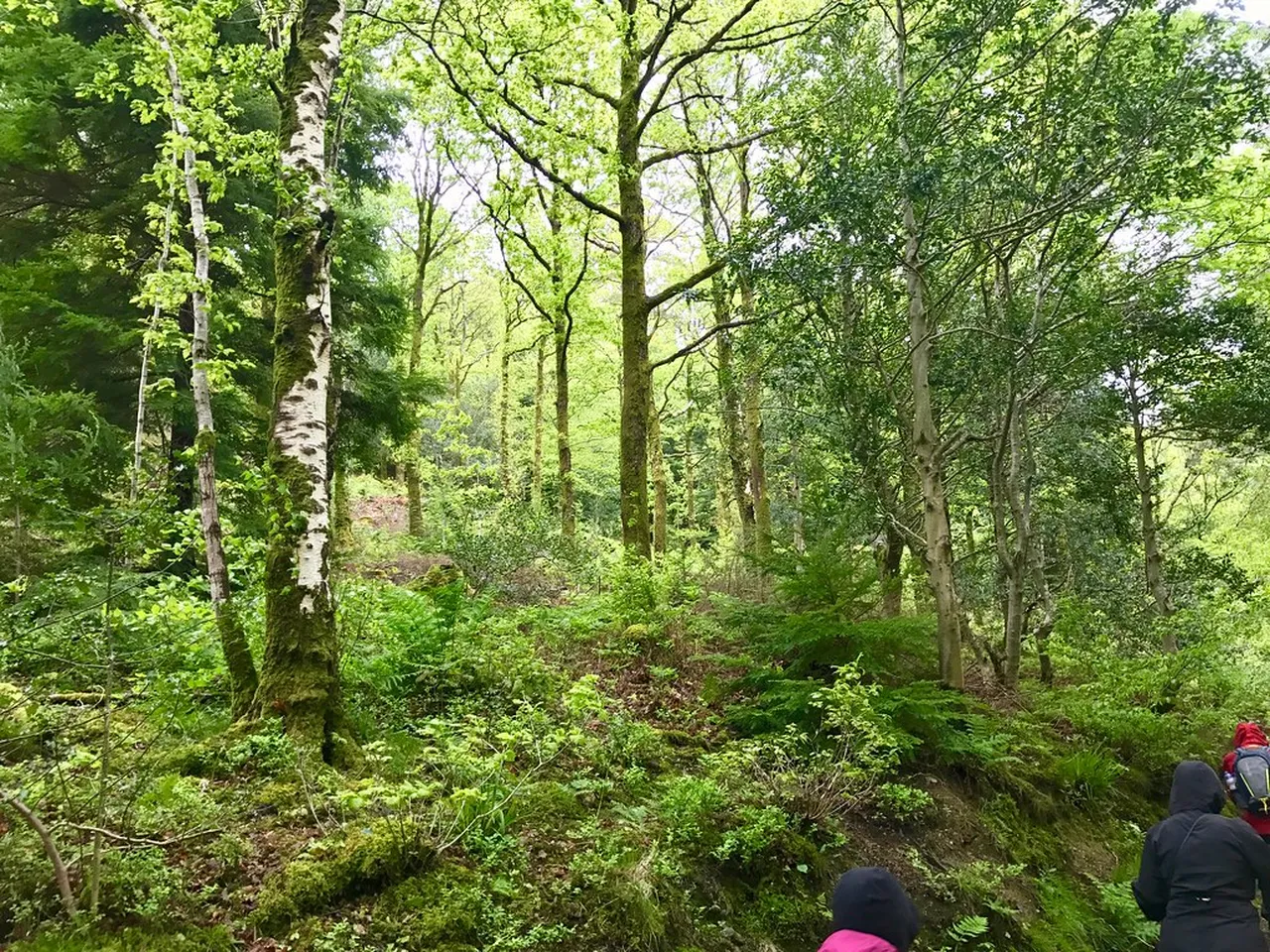 4. Exploring the Lakes via Mountain Biking: Trails for All Levels