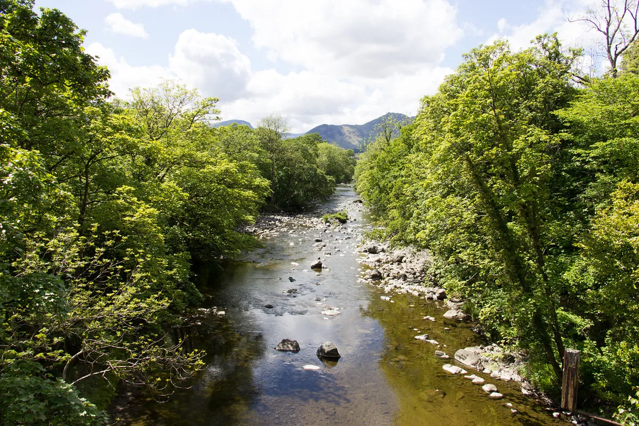1. Hiking the Iconic Catbells: Views That Will Take Your Breath Away