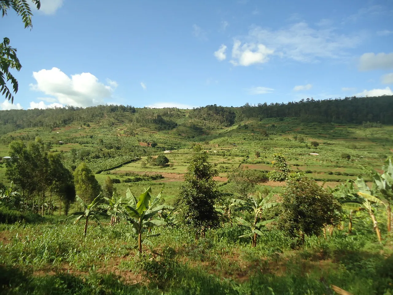 4. Take a Stroll Along the Nyabugogo Riverbanks