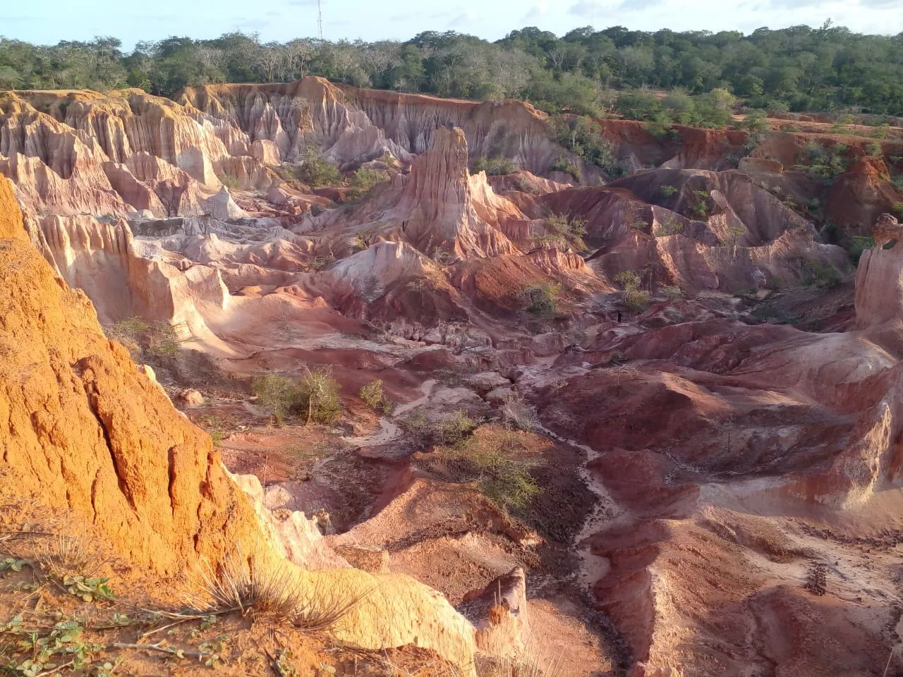 1. Discover the Ancient Fort of Kilifi: A Historical Marvel