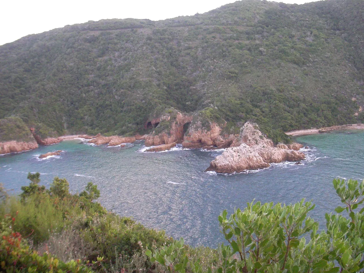 1. Embrace Nature at the Knysna Estuary