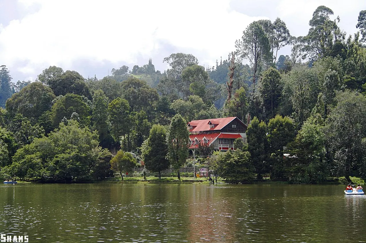 1. Exploring the Enchanting Kodai Lake: A Must-Visit Experience