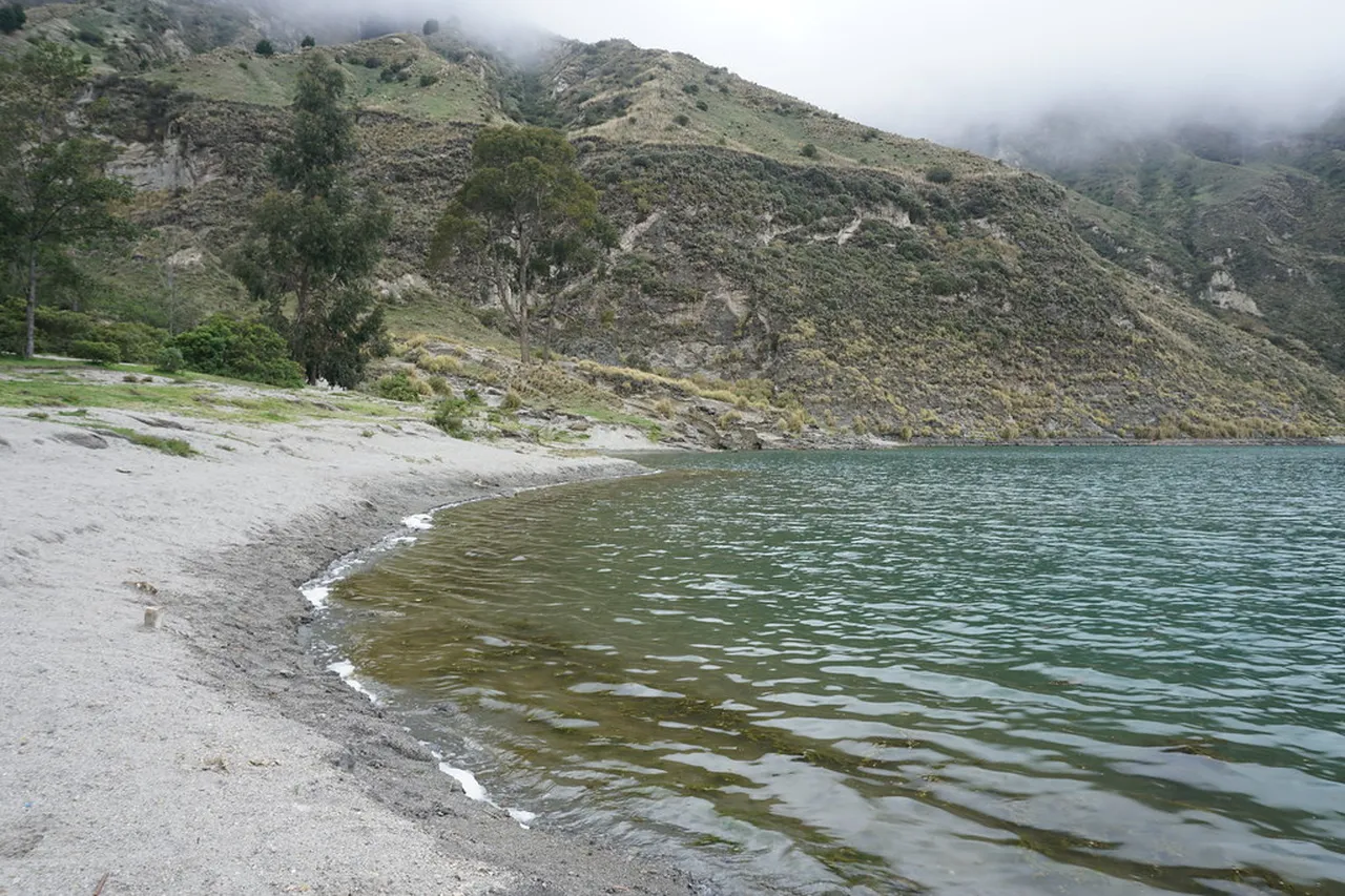 5. Delving into Local Cuisine: Taste the Flavors of La Laguna