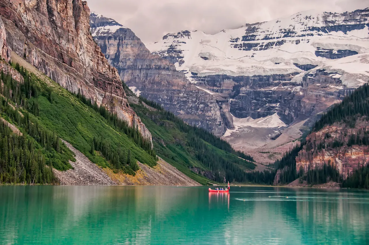 4. Wildlife Watching: Spotting Alberta’s Native Animals