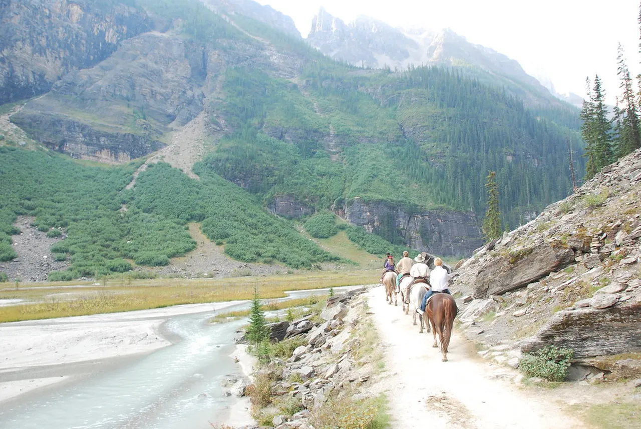 1. Hiking the Lake Agnes Tea House Trail: A Scenic Ascent