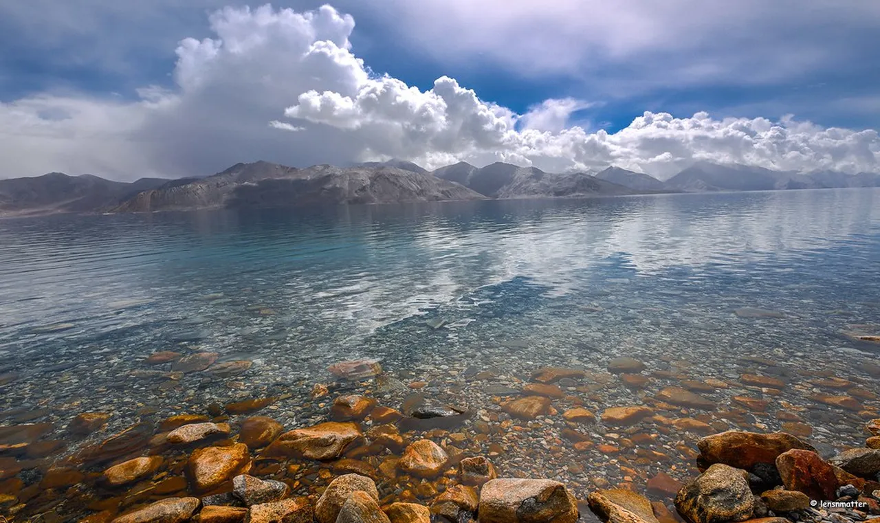 5. Wildlife Safaris in Hemis National Park: Encounter Unique Flora and Fauna