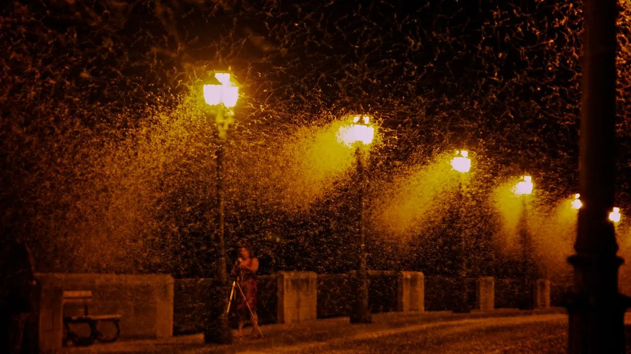4. Explore the Historic Center: Nighttime Strolls in León