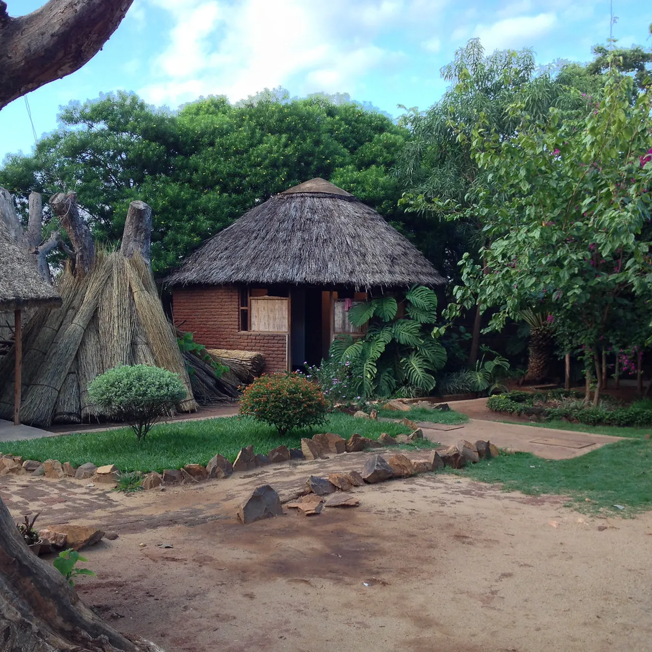 1. Exploring the Lilongwe Wildlife Centre: A Conservation Oasis