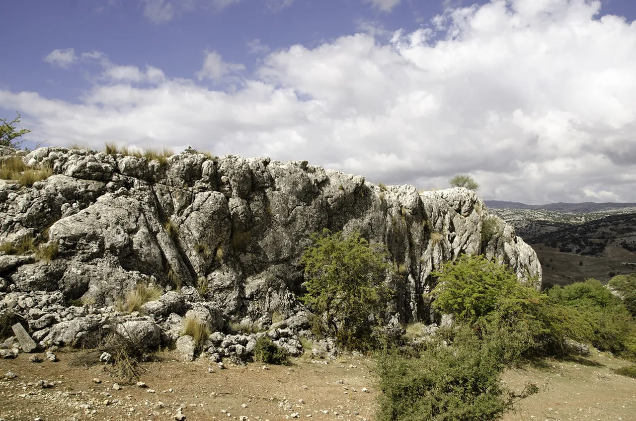 1. Discovering the Natural Wonders of Podocarpus National Park