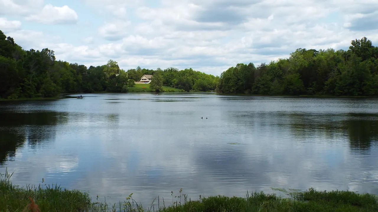 5. Take a Stroll Through Waterfront Park: Nature in the City