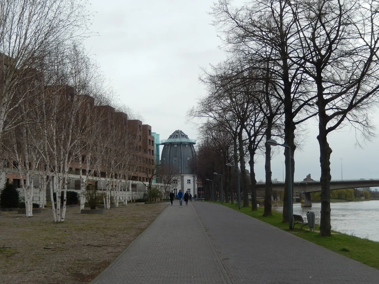 2. Discover the Vrijthof Square: The Heart of Maastricht