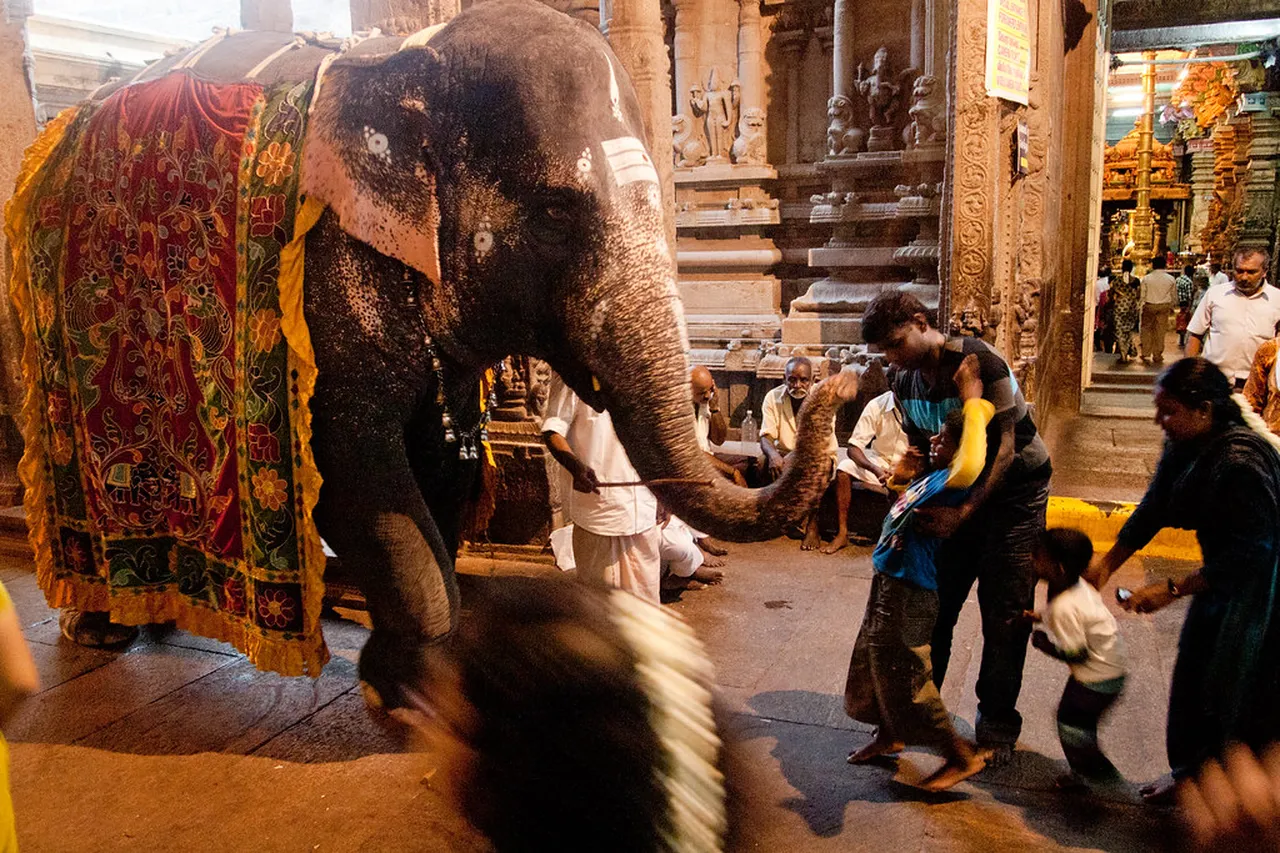 2. savor the flavors of authentic Madurai Street Food