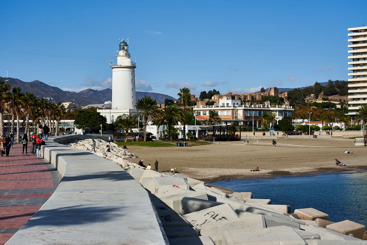 5. Delight in Local Gastronomy: Tapas and Culinary Traditions