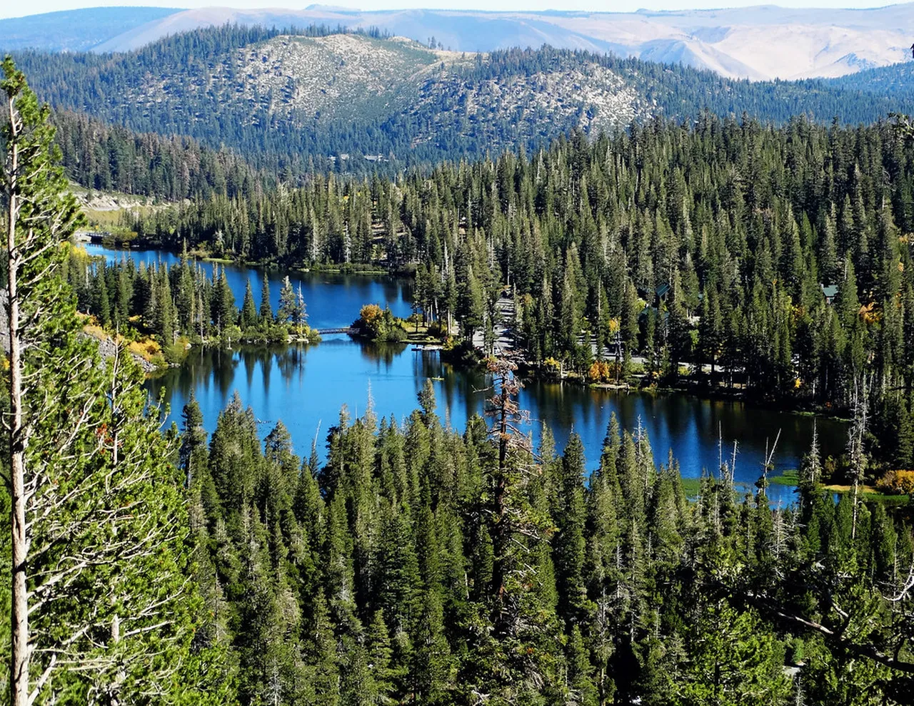 3. Skiing the Slopes at Mammoth Mountain Resort