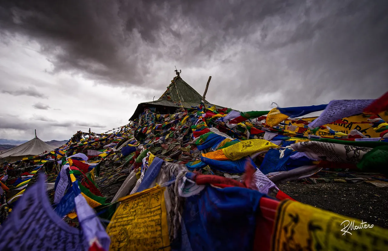 5. The Magical Experience of Rohtang Pass: Snowy Fun Year-Round