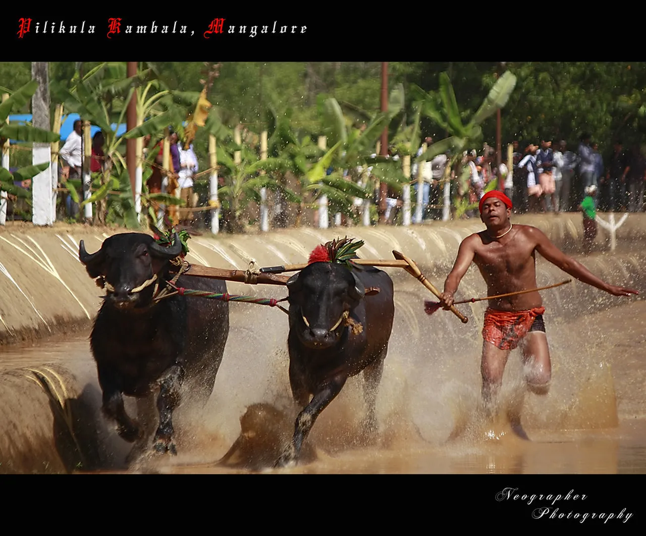 3. Celebrate with the Community at the Karavali Utsav