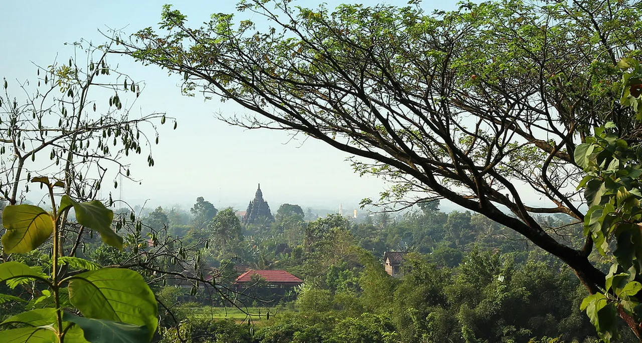 4. Local Culinary Delights: Flavors of Mataram Culture