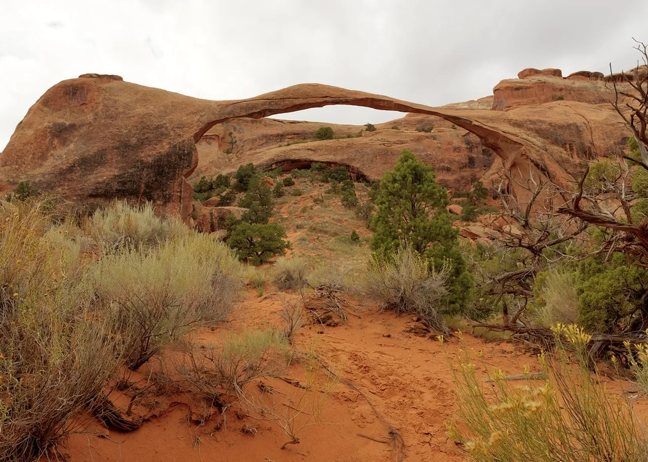 1. Explore the Moab Music Festival: A Symphony in the Desert
