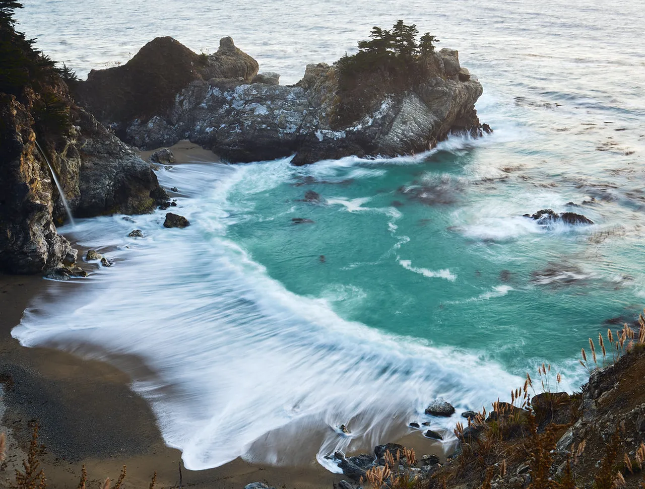 5. Discover Marine Life at Point Lobos State Natural Reserve