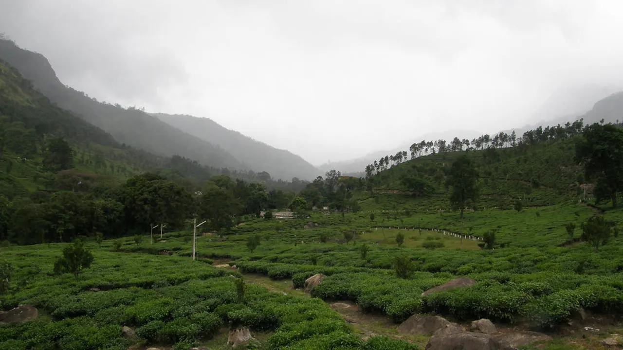 3. Munnar’s Folklore: Legends and Storytelling Traditions