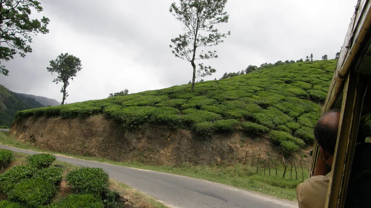 1. Exploring Munnar Culture: A Historical Overview