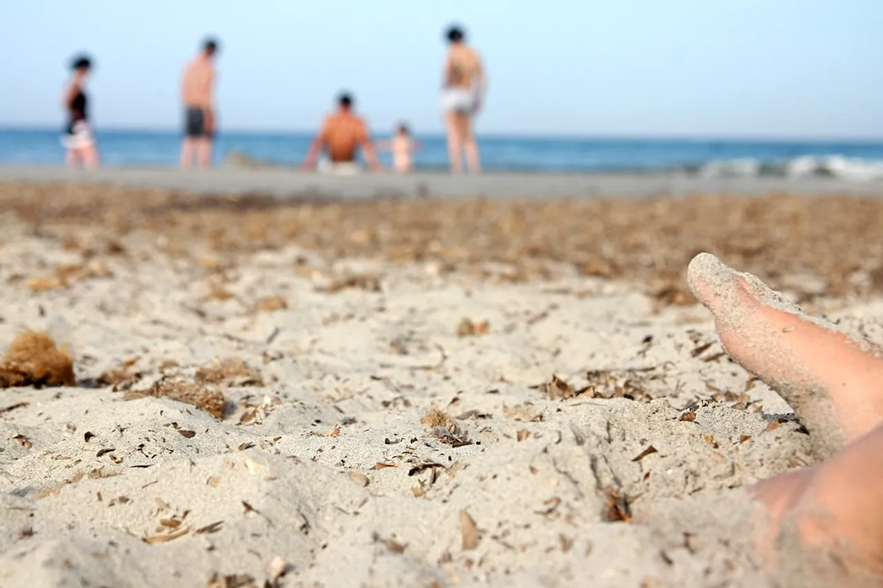 2. Savor Traditional Cuisine: The Flavors of Murcia