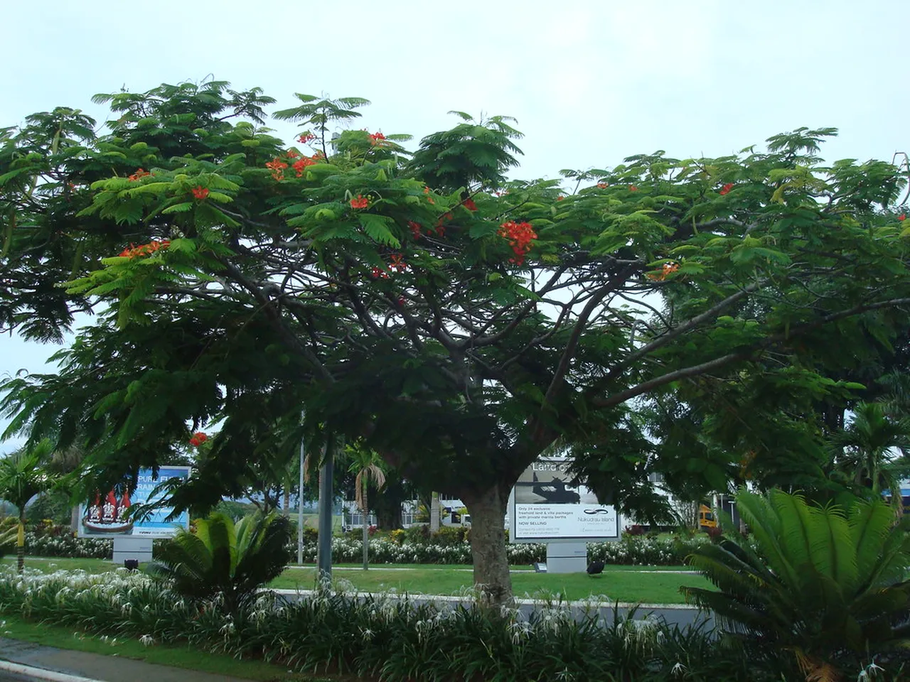 5. Art and Craft of Nadi: Exploring Local Handmade Treasures