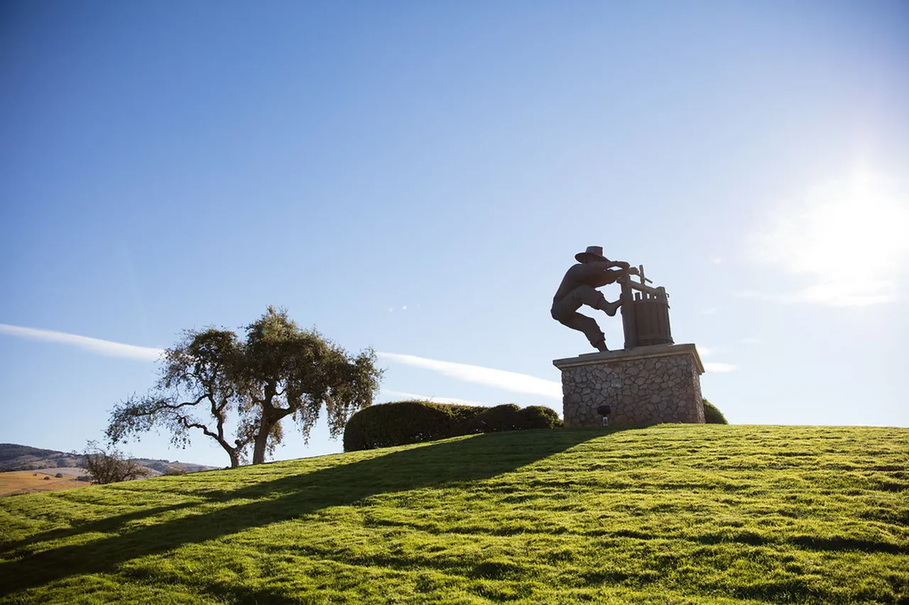 2. Napa Valley Culinary Experiences: A Fusion of Flavors