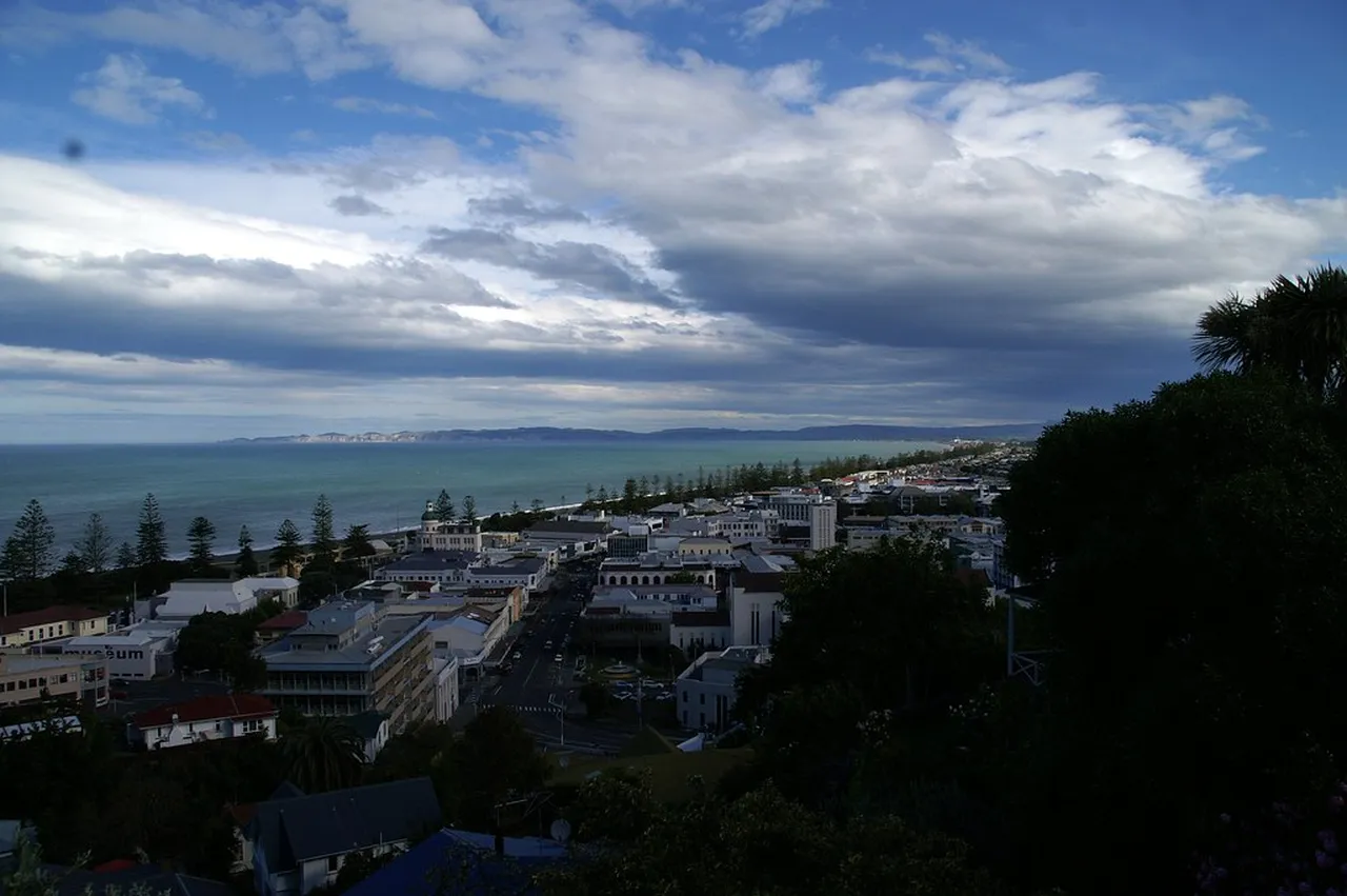 5. Napier’s Culinary Scene: Indulging in Local Gastronomy