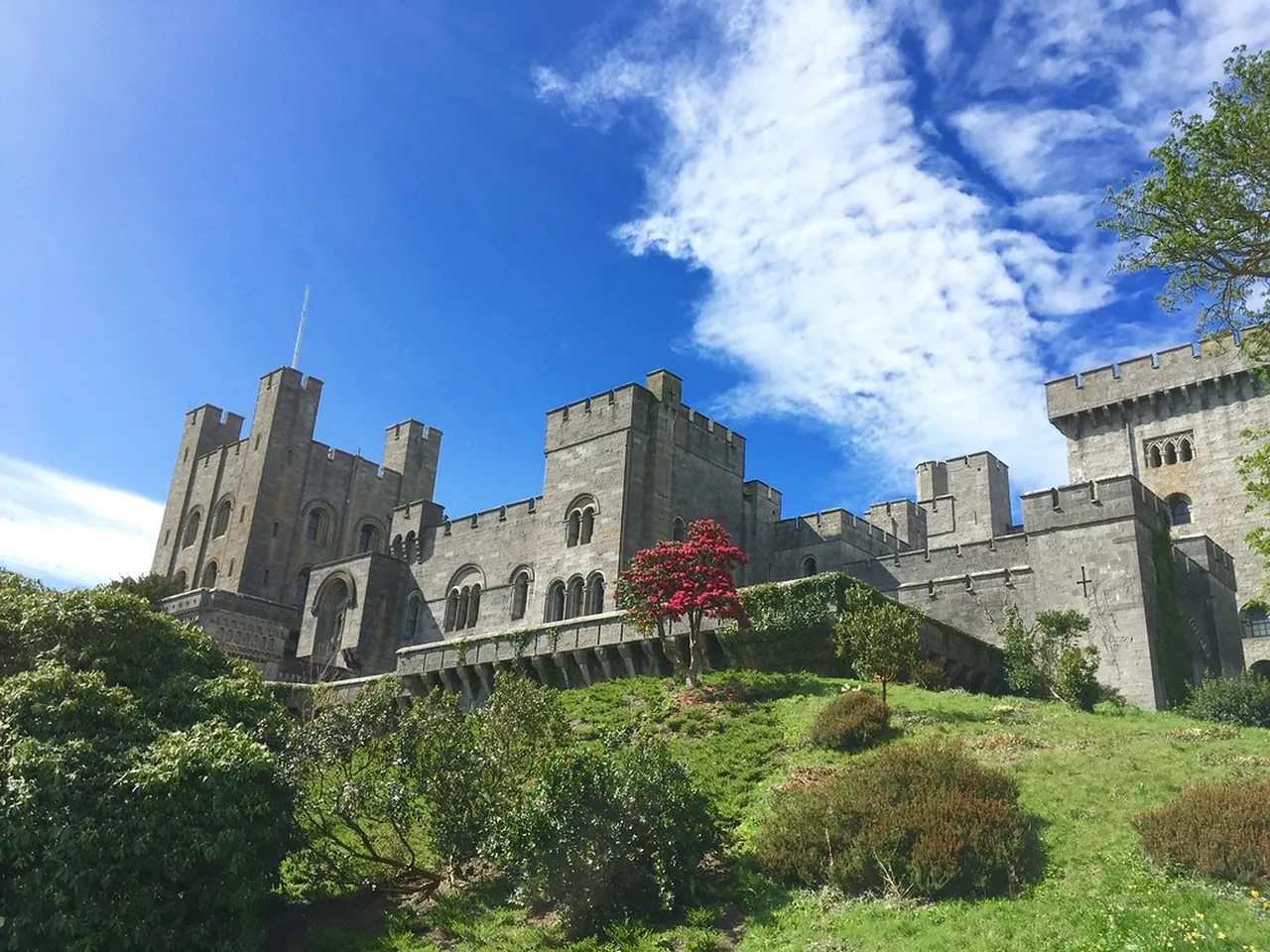 3. The Napier Art Gallery: Contemporary and Traditional Exhibitions