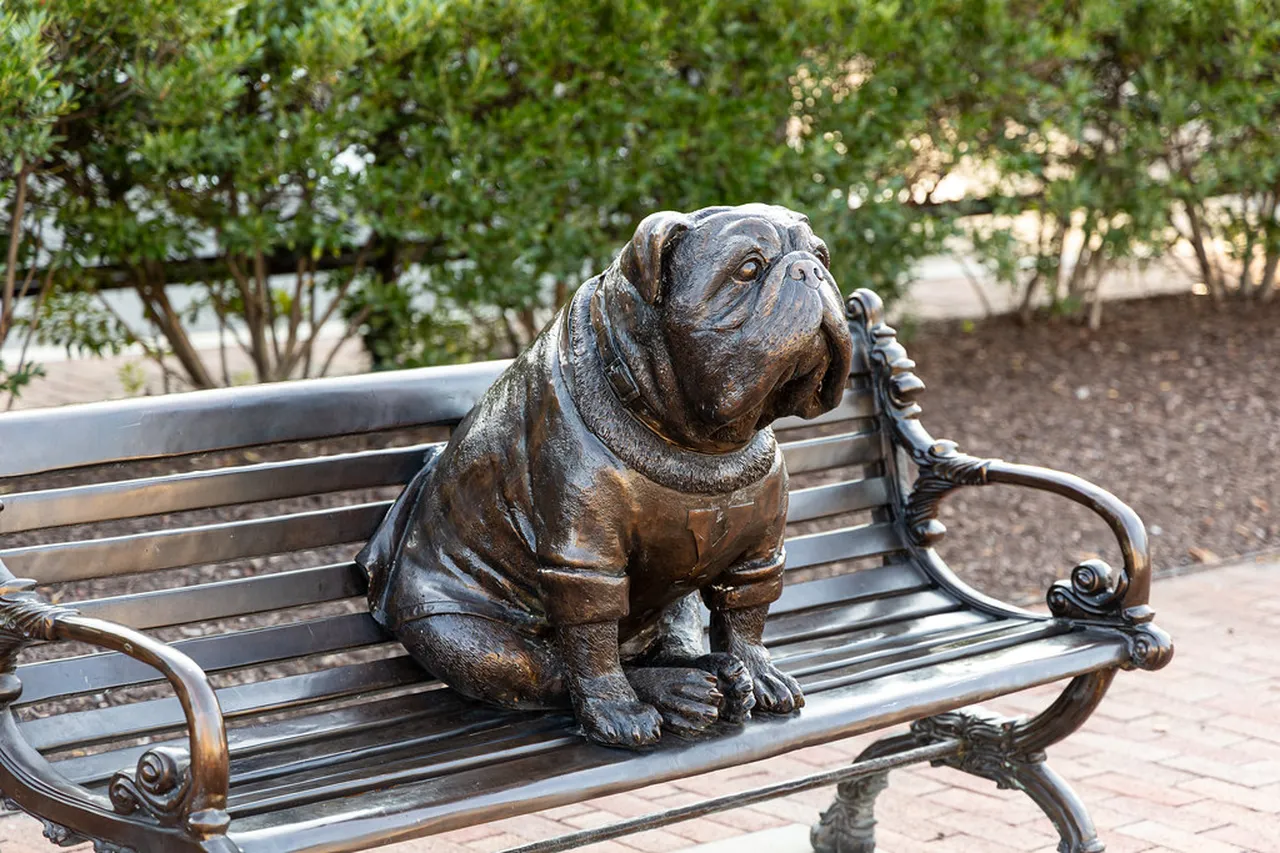 1. Explore the Yale University Campus: A Walk Through History
