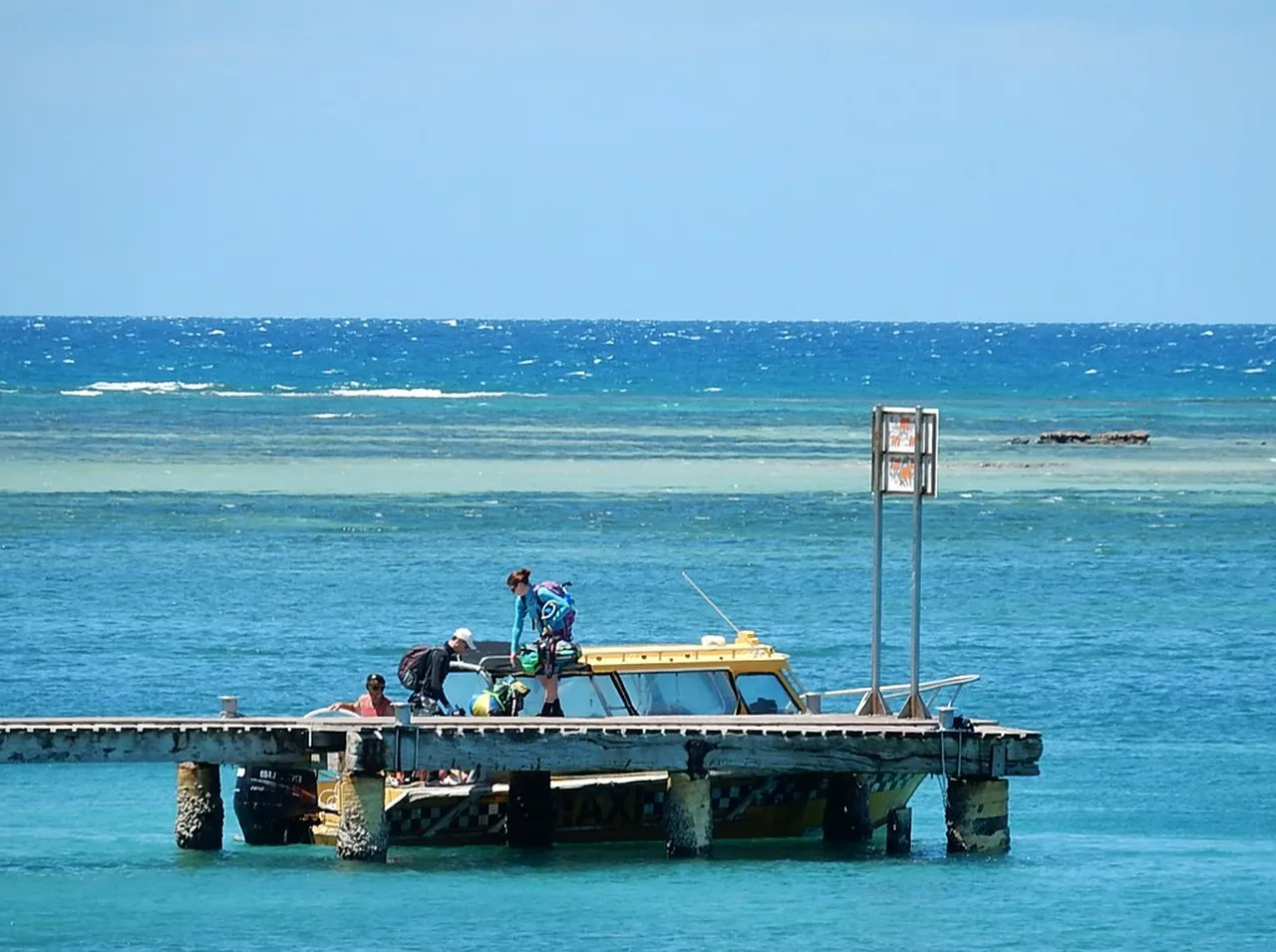 2. Exploring the Unique Flora and Fauna at The Parc Zoologique et Forestier