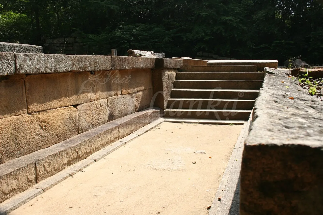 2. Discovering the History at Gregory Lake
