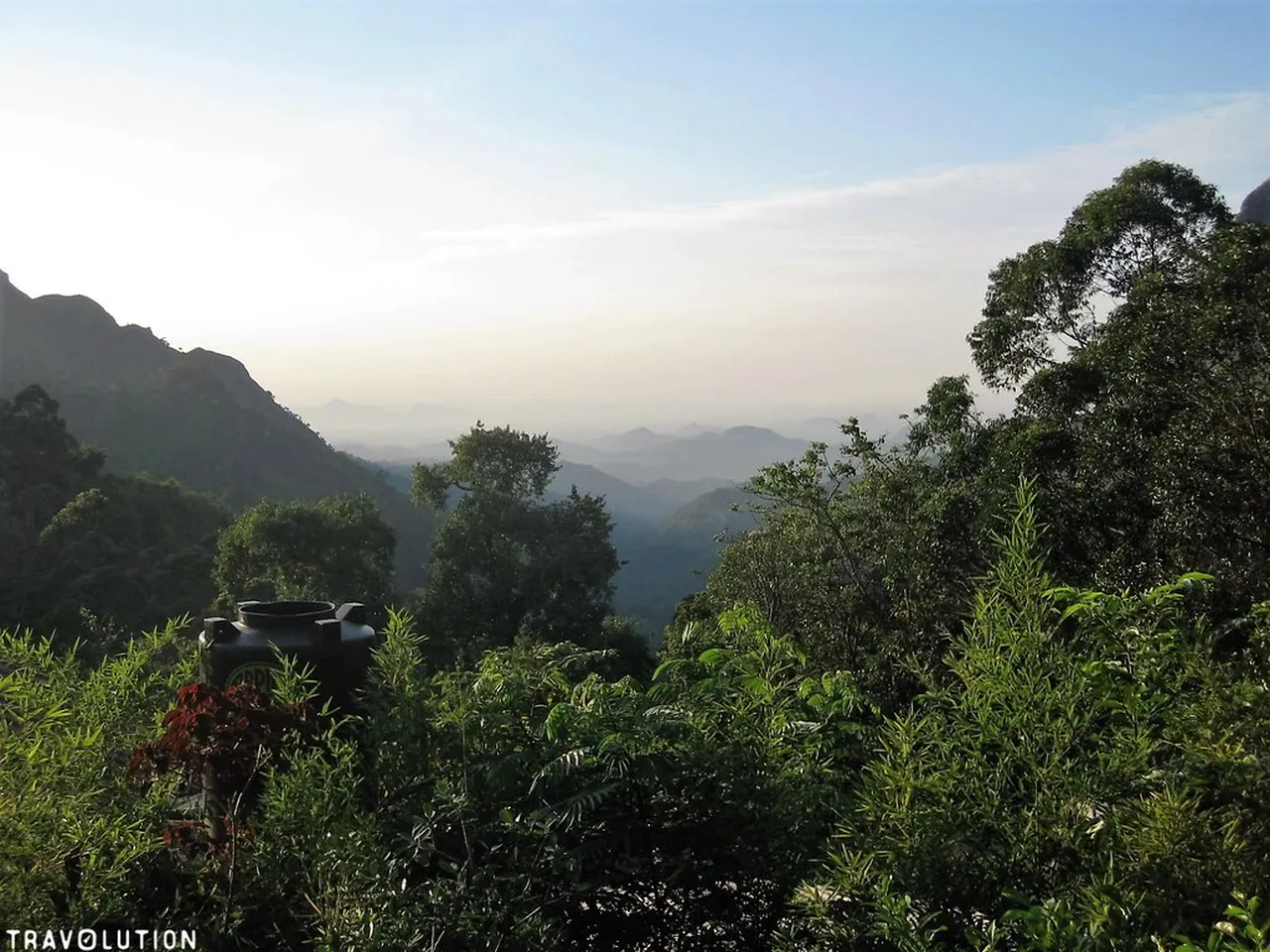 3. Discover Nuwara Eliya’s Tea Plantations: A Journey Through Time