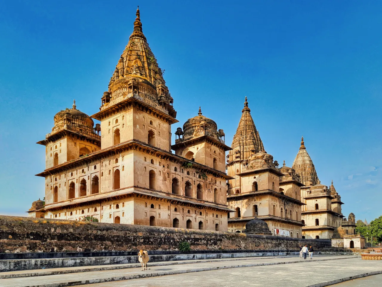 3. Experiencing Traditional Festivals: Celebrating Orchha Culture