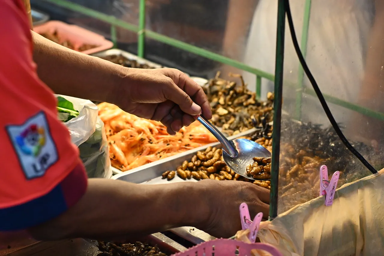 4. Explore Coral Island: A Paradise for Sun-Seekers