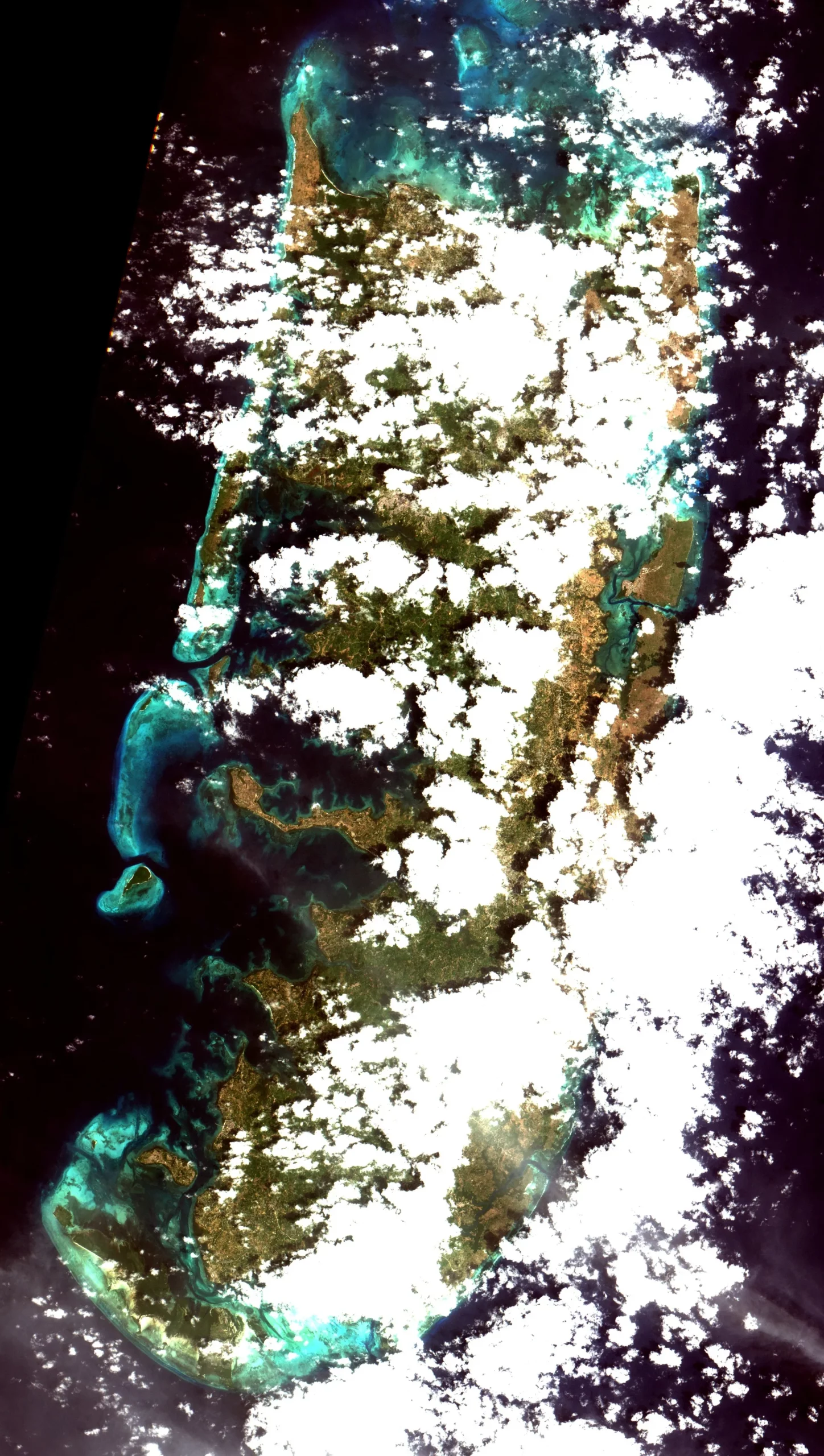 4. Diving into the Stunning Coral Reefs Surrounding Pemba