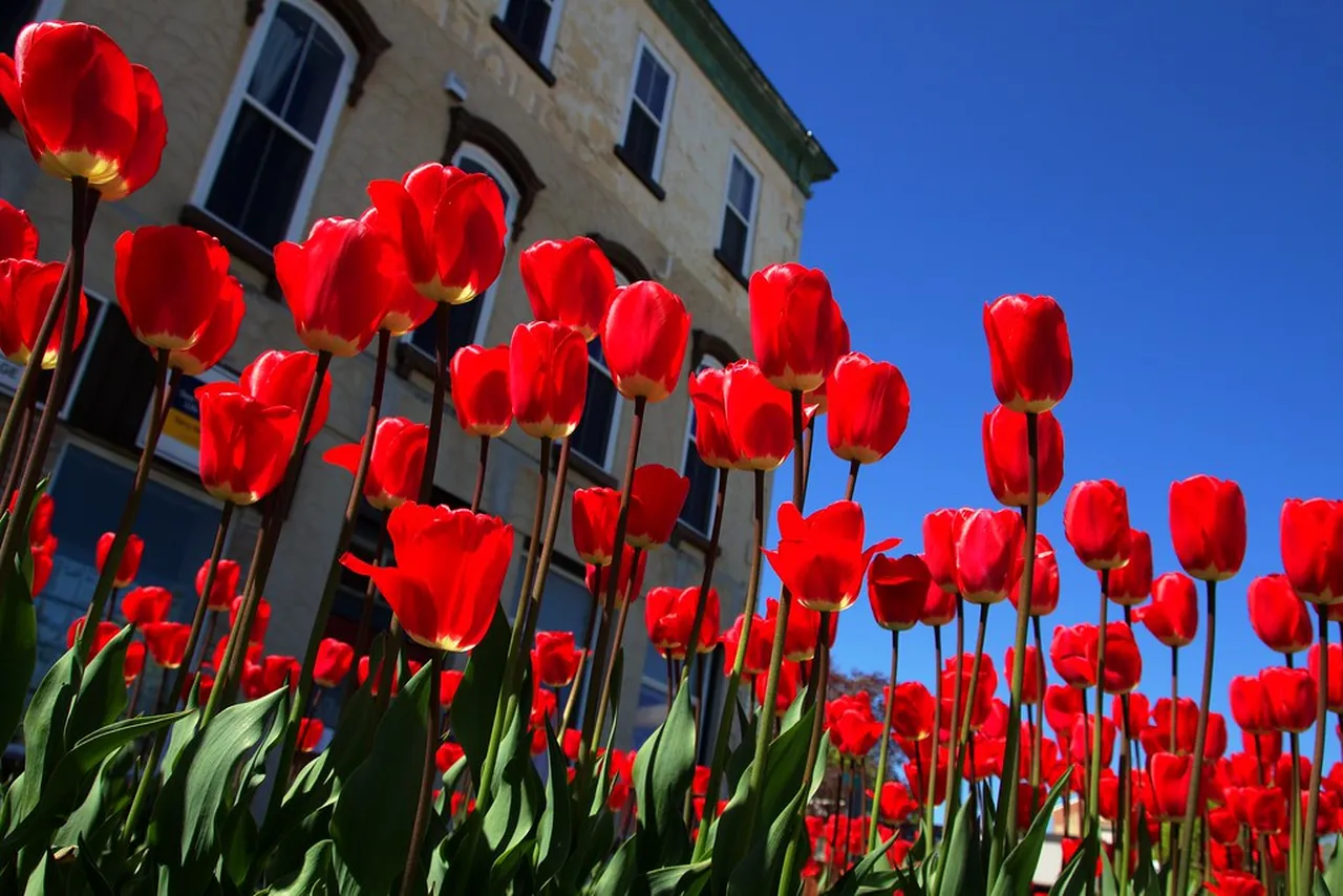 3. Experience History: Perugina Chocolate Factory Tours