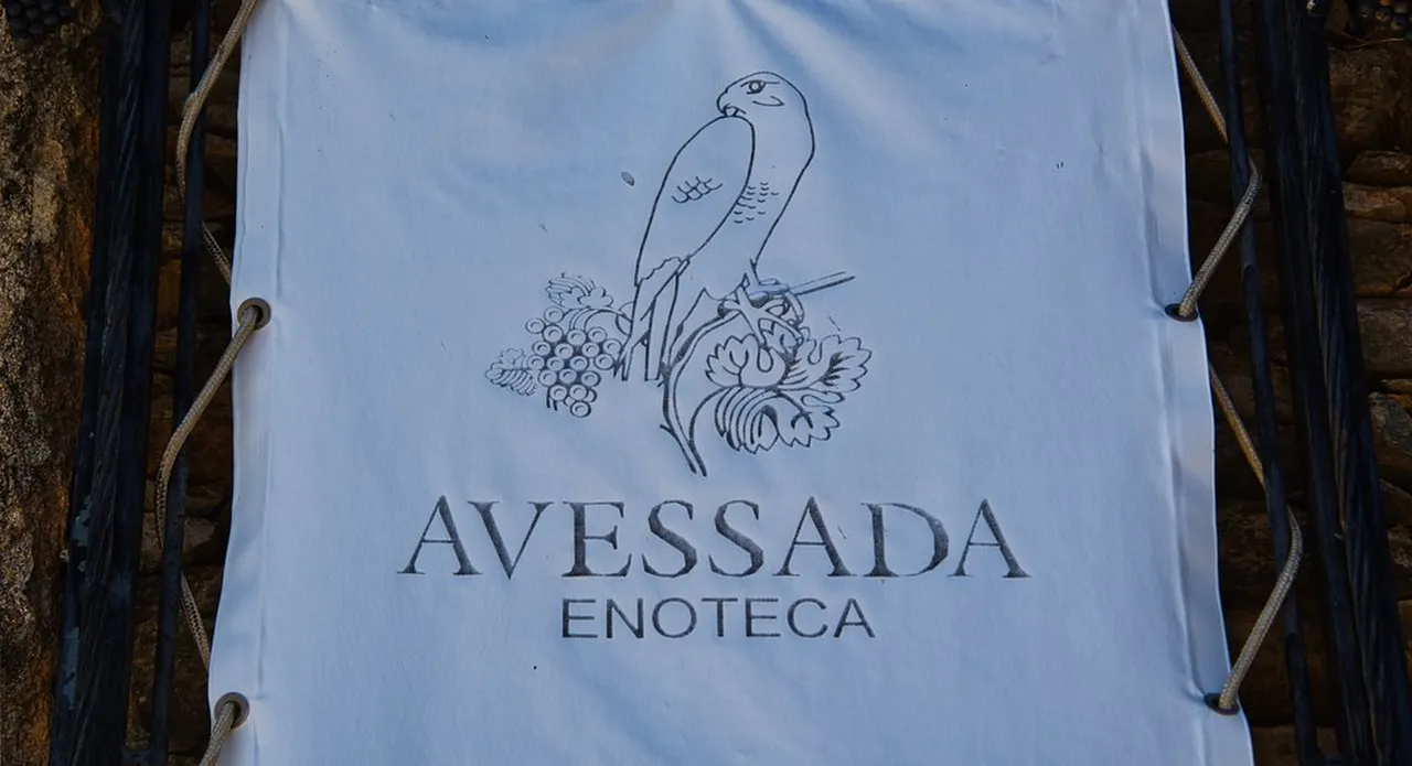 2. Wine Tasting in the Douro Valley: A Journey Through Vineyards