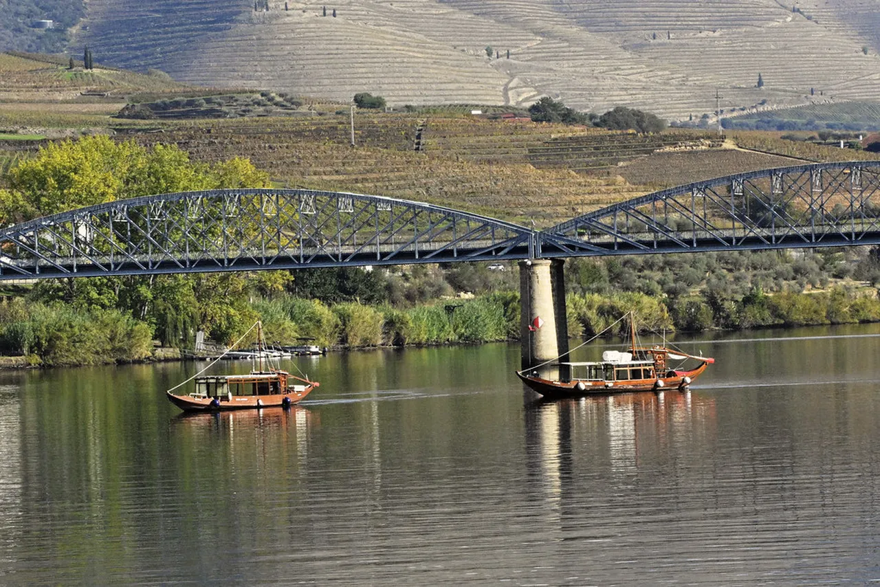 2. Indulge in Local Flavors: Wine Tasting at Douro Valley Vineyards